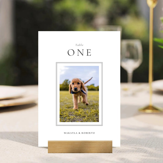 Table Numbers template made in Canva