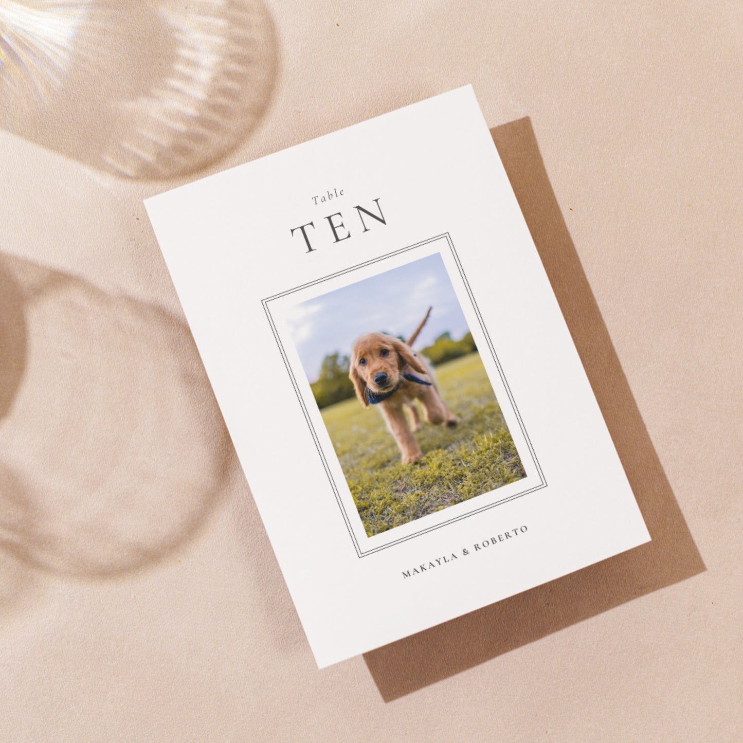 Table Numbers template made in Canva